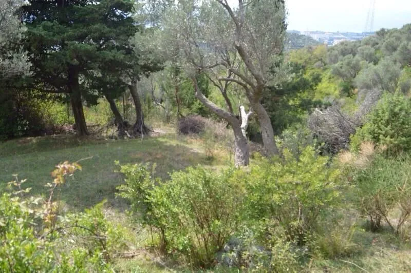Prodaja, plac, 3000m², Velembusi, Bar