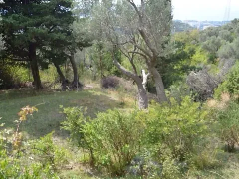Prodaja, plac, 3000m², Velembusi, Bar - image 6