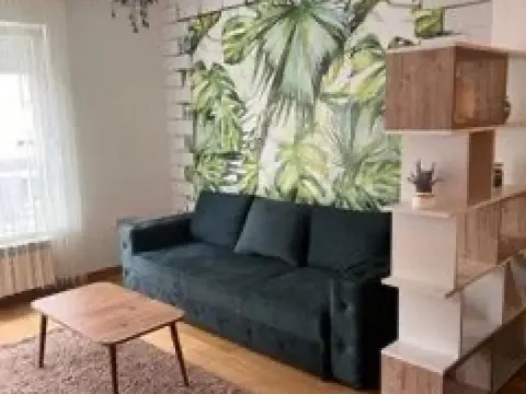 Izdavanje, jednosoban stan, 45m², Zemun Sve Podlokacije, Beograd - image 2