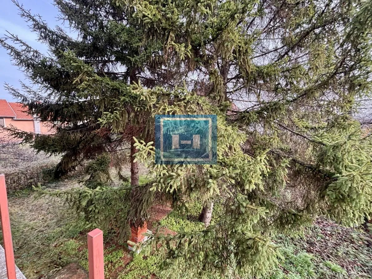 Prodaja, kuća, 300m², Budžino brdo, Jagodina