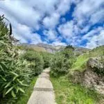 Prodaja, plac, 420m², Petrovac, Budva - image 6