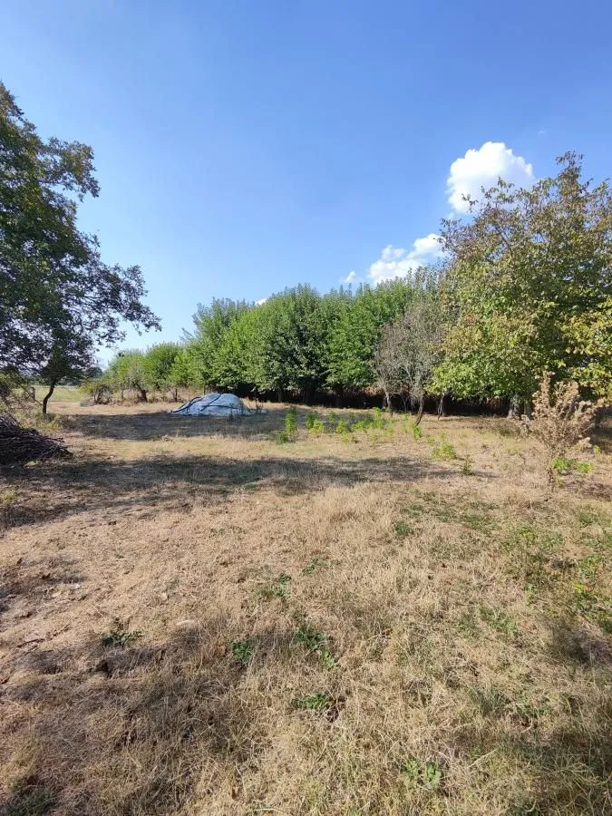 Prodaja, kuća, 96m², Kočino Selo, Jagodina