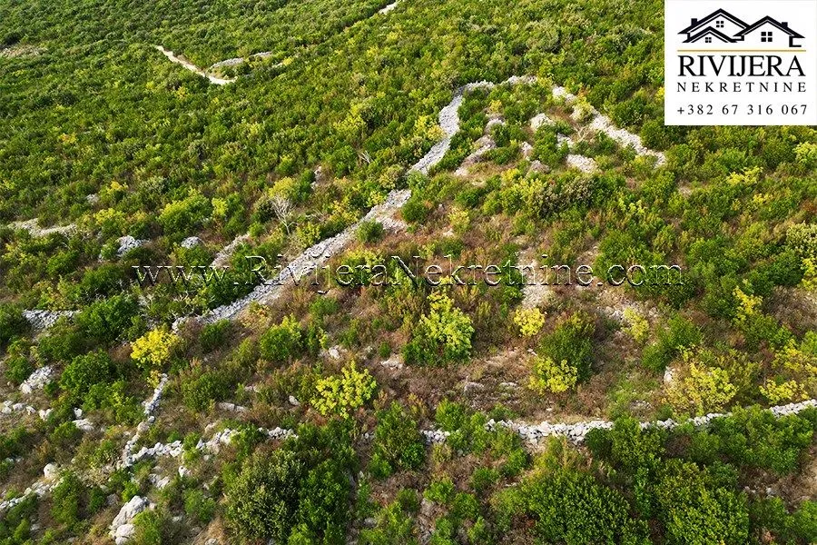 Prodaja, plac, 2216m², Glavatičići, Kotor