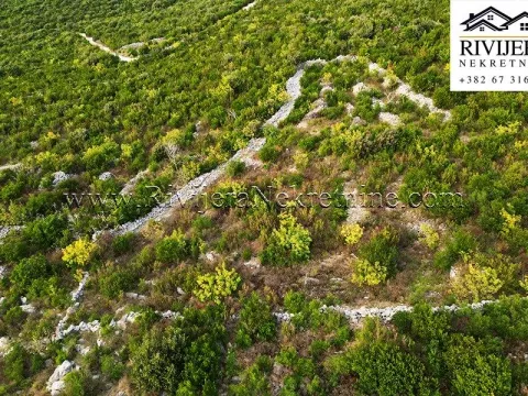 Sale, land lot, 2216m², Glavatičići, Kotor - image 5