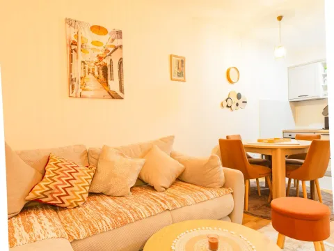 Rent, one bedroom apartment, 48m², Pobrežje, Podgorica - image 4