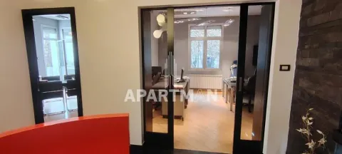 Izdavanje, poslovni prostor, 100m², Botanička Bašta, Palilula Sve Podlokacije - image 7