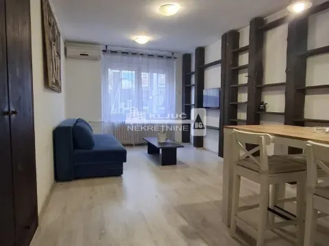 Izdavanje, jednosoban stan, 30m², Vračar Centar, Vračar Sve Podlokacije - image 4