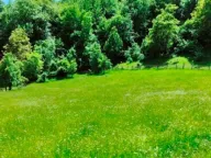 Sale, land lot, 30140m², Ulotina, Andrijevica - image 2