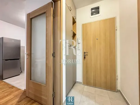 Izdavanje, jednosoban stan, 50m², Stari Aerodrom, Podgorica - image 6