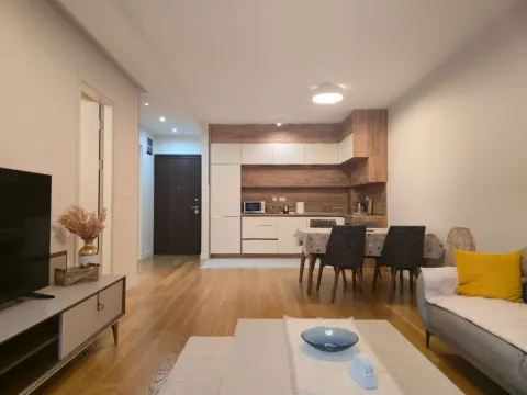 Izdavanje, jednosoban stan, 57m², Central Point, Podgorica - image 6