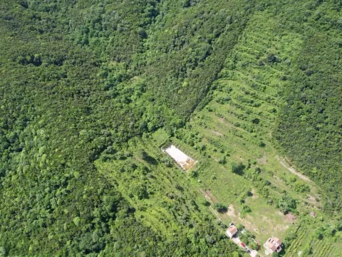 Prodaja, plac, 83000m², Radanovići, Kotor - image 11