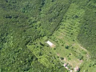 Prodaja,  zemljište, 83000m2, Radanovići, Kotor
