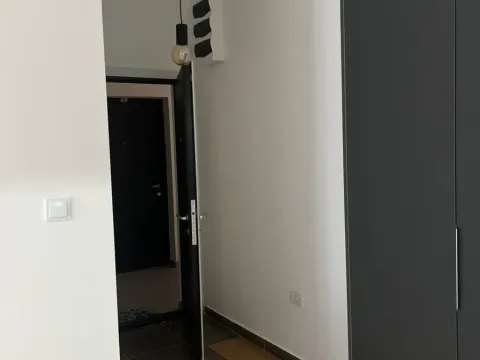 Prodaja, jednosoban stan, 49m², Central Point, Podgorica - image 5