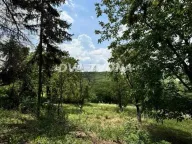 Prodaja, kuća, 29m², Irig, Srbija - image 3