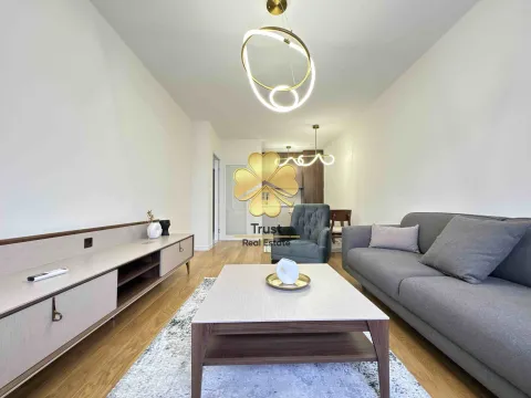 Izdavanje, jednosoban stan, 49m², Central Point, Podgorica - image 2