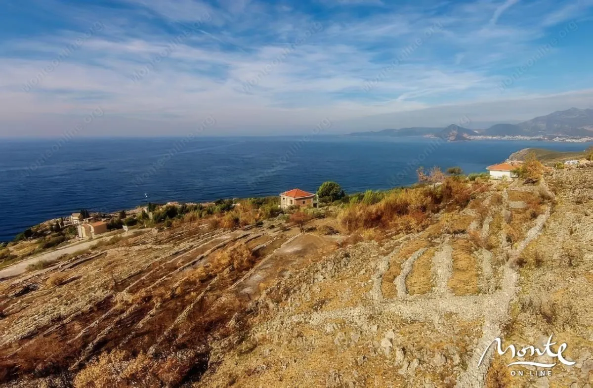 Prodaja, plac, 1000m², Reževići, Budva