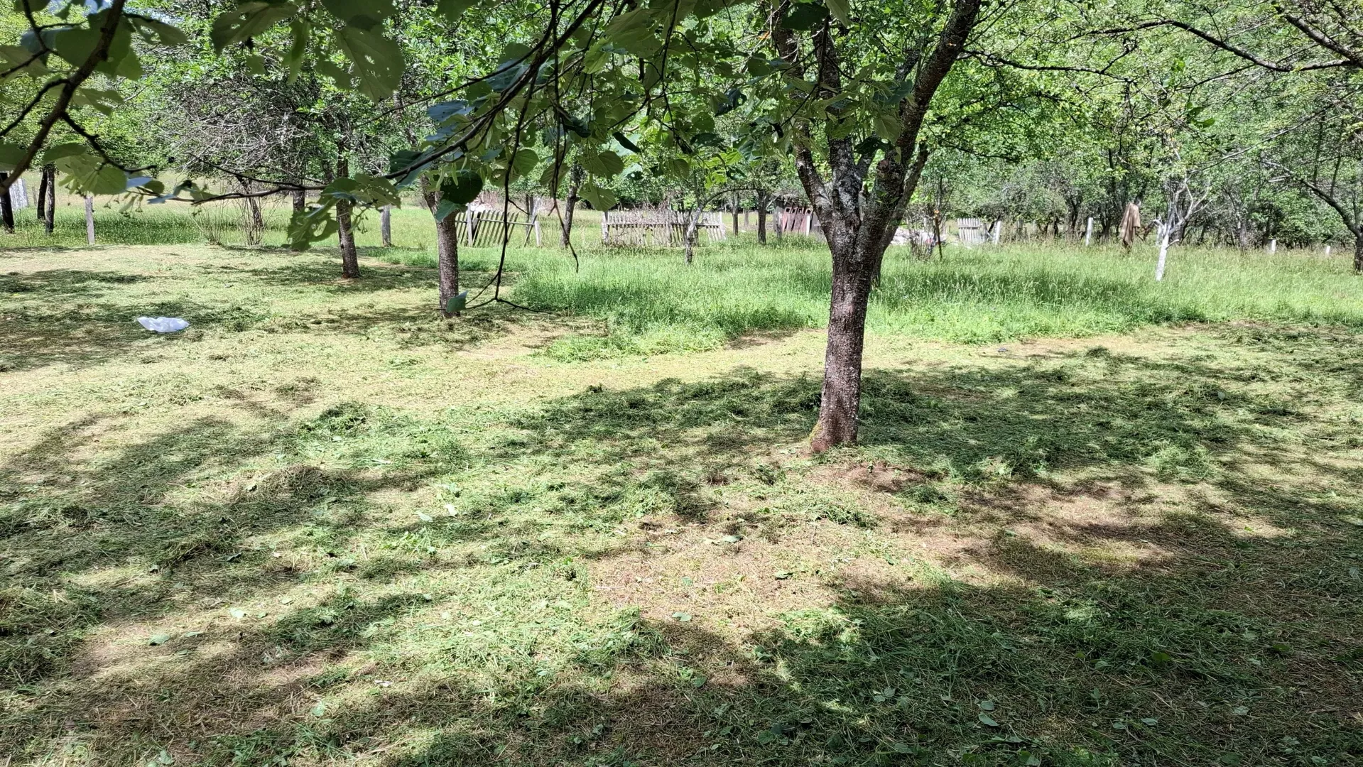 Prodaja, plac, 4000m², Dobrilovina, Mojkovac