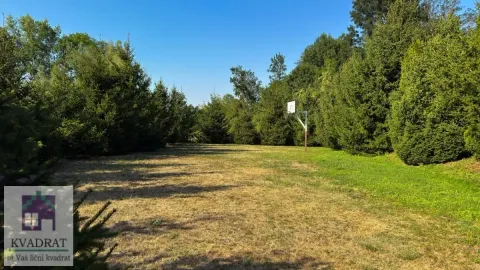 Travnato dvorište sa košarkaškim košem okruženo četinarima. - image 33