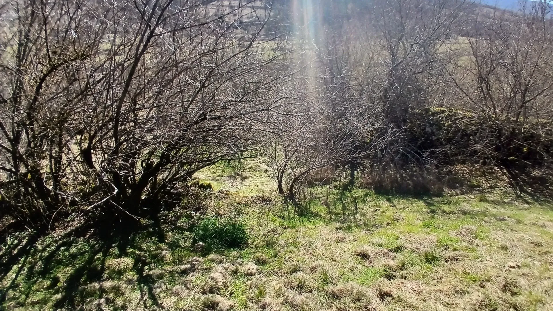 Prodaja, plac, 6256m², Čevo, Cetinje