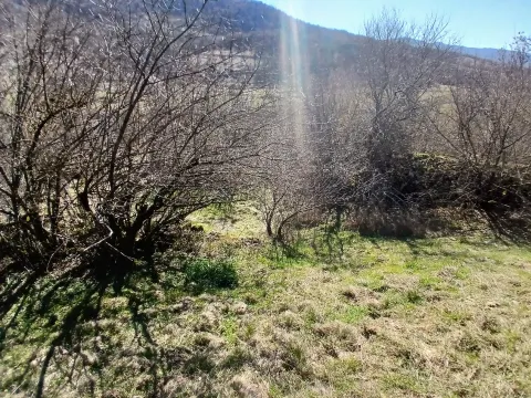 Prodaja, plac, 6256m², Čevo, Cetinje - image 14