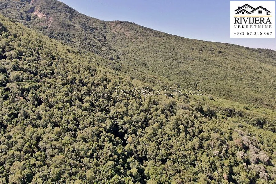 Prodaja, plac, 38868m², Zelenika, Herceg Novi