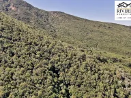 Sale, land lot, 38868m², Zelenika, Herceg Novi - image 9