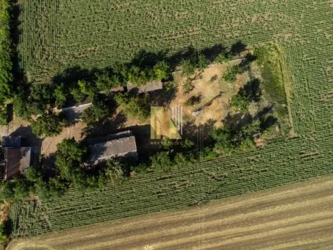 Prodaja, kuća, 275m², Srbobran, Novi Sad - image 5