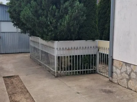 Sale, house, 240m², Zemun Sve Podlokacije, Beograd - image 16