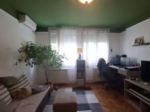 Prodaja, dvosoban stan, 48m², Profesorska Kolonija, Palilula Sve Podlokacije - image 2