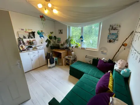 Sale, house, 55m², Sremska Kamenica, Petrovaradin - image 10