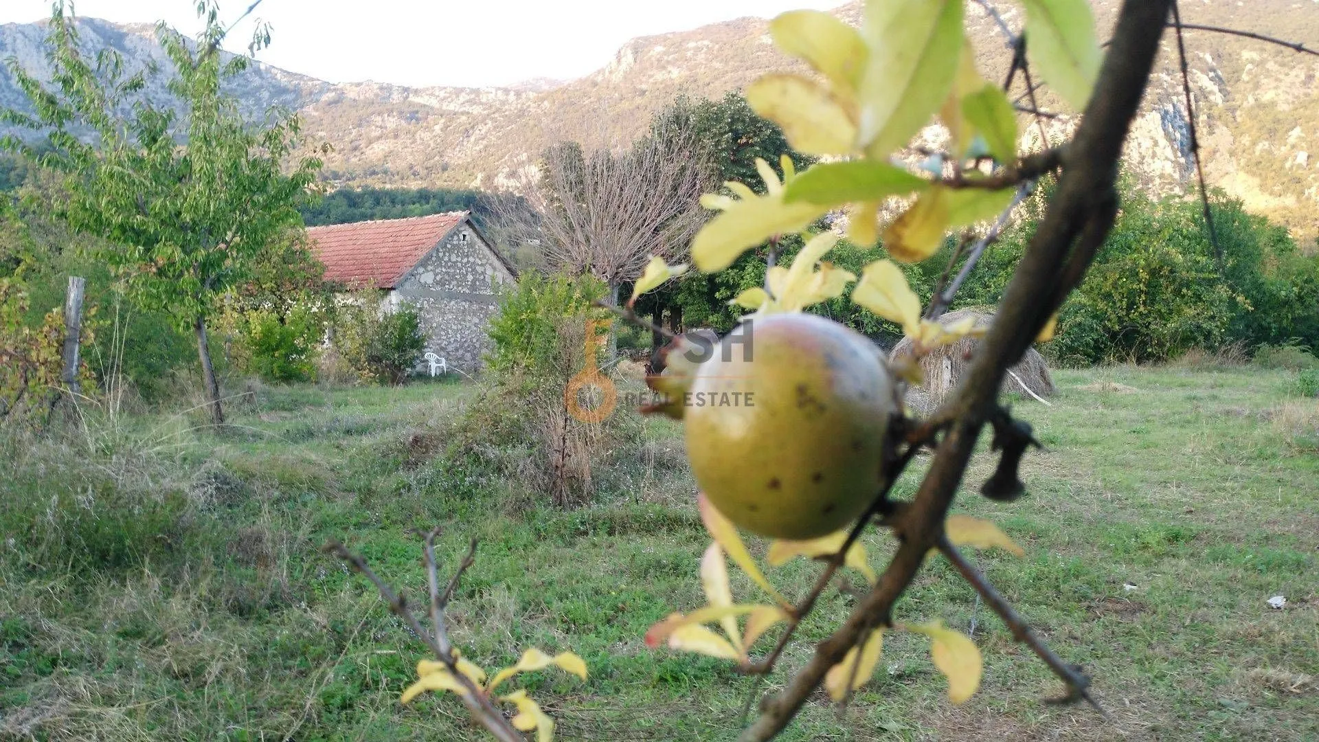 Prodaja, plac, 28000m², Danilovgrad, Crna Gora