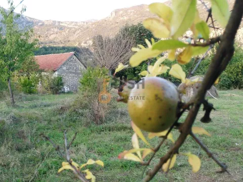 Prodaja, plac, 28000m², Danilovgrad, Crna Gora - image 4