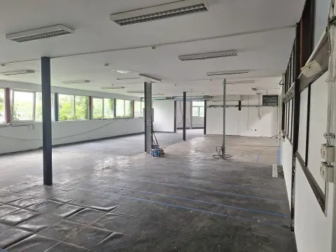 Izdavanje, poslovni prostor, 700m², Zemun Sve Podlokacije, Beograd - image 3