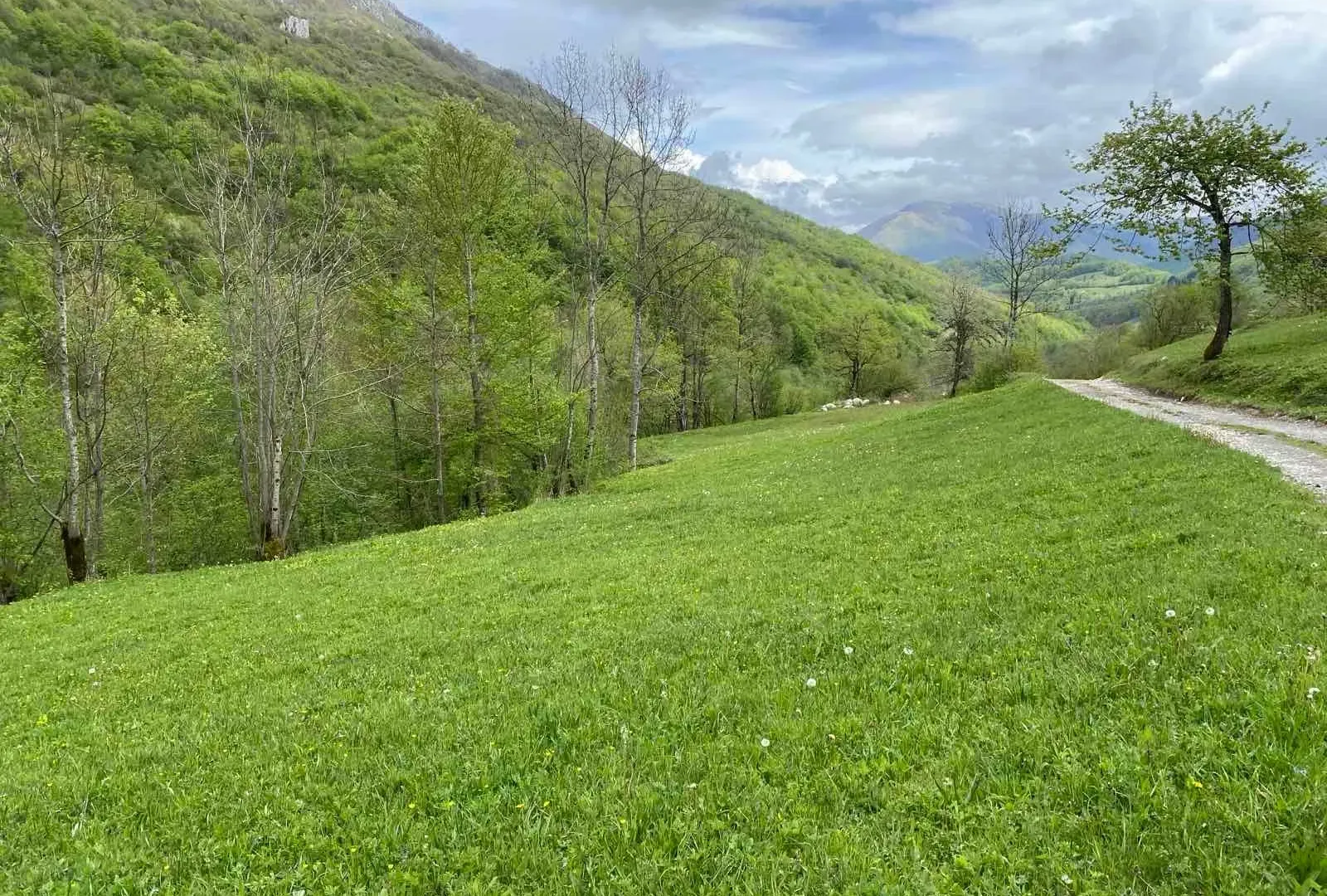 Prodaja, plac, 5000m², Mojkovac, Crna Gora