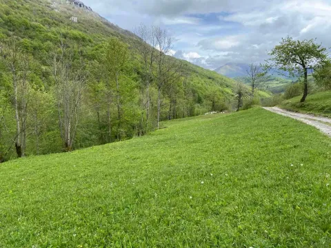 Prodaja, plac, 5000m², Mojkovac, Crna Gora - image 4