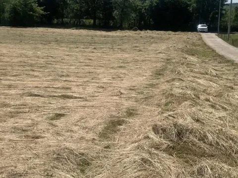 Prodaja, plac, 4650m², Podgorica, Crna Gora - image 8