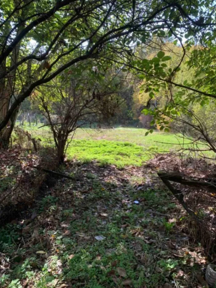 Prodaja, kuća, 110m², Veliki Crljeni, Lazarevac