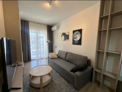 Izdavanje, garsonjera, 25m², Mažina, Tivat - image 3