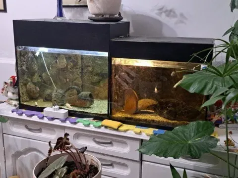 Prodaja, trosoban stan, 60m², Novi Sad, Srbija - image 5