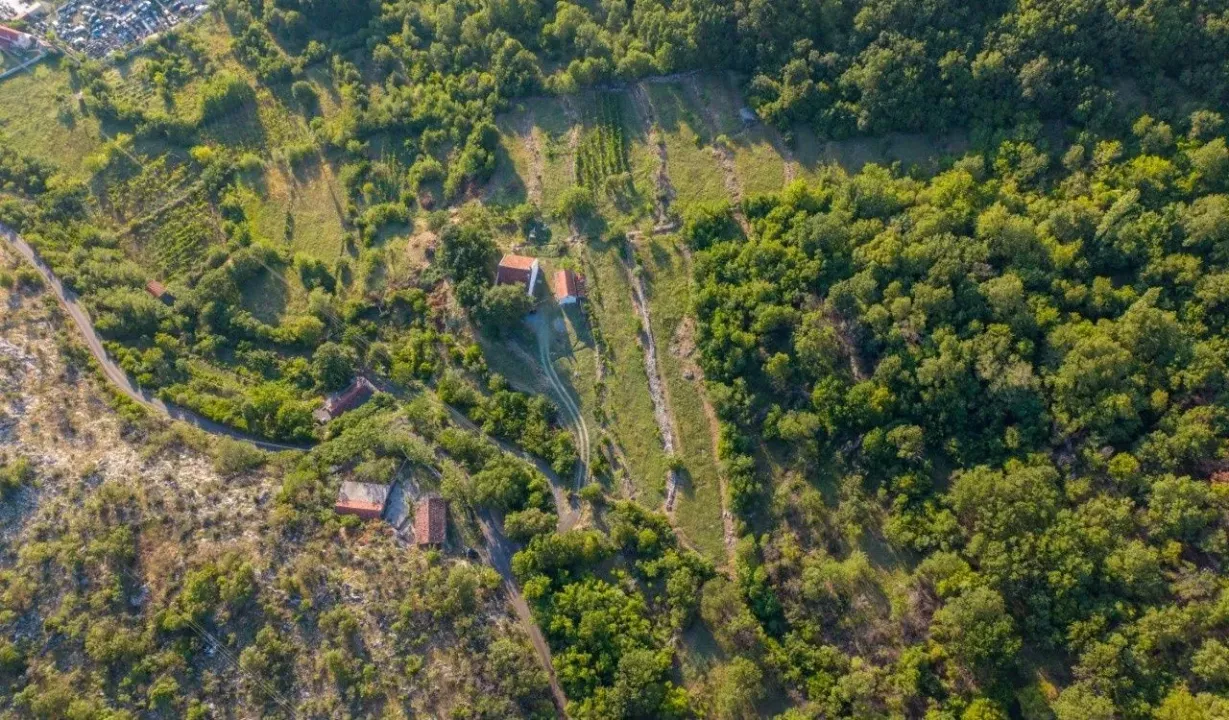 Sale, land lot, 46000m², Doljani, Podgorica