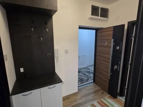 Izdavanje, dvosoban stan, 55m², Nova Detelinara, Novi Sad Sve Podlokacije - image 12