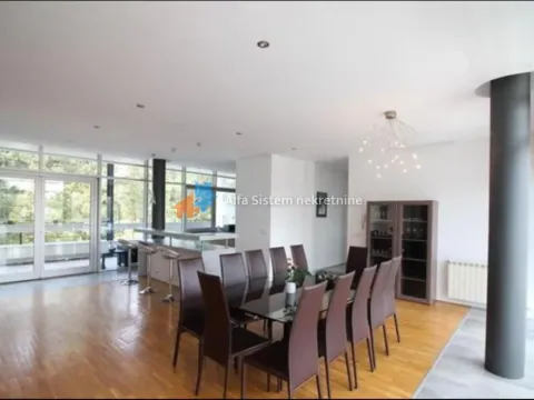 Izdavanje, četvorosoban stan, 250m², Savski Venac, Beograd - image 8