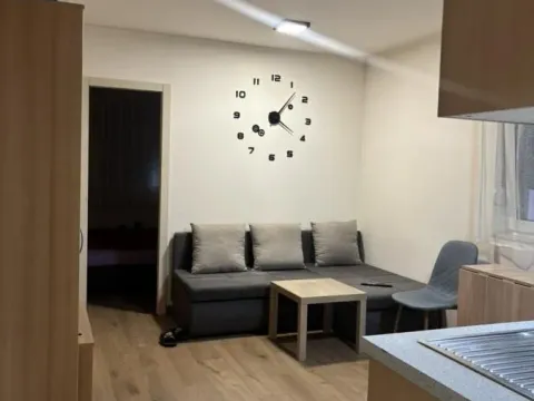 Rent, one bedroom apartment, 25m², Telep, Novi Sad Sve Podlokacije - image 2