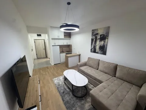 Sale, studio apartment, 54m², Vezirov Most, Podgorica - image 3