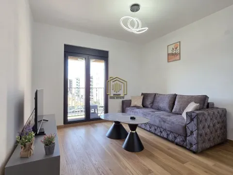 Rent, one bedroom apartment, 48m², New City, Podgorica - image 2