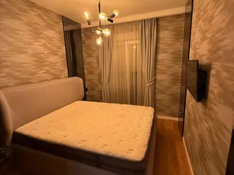 Izdavanje, jednosoban stan, 50m², Central Point, Podgorica - image 2