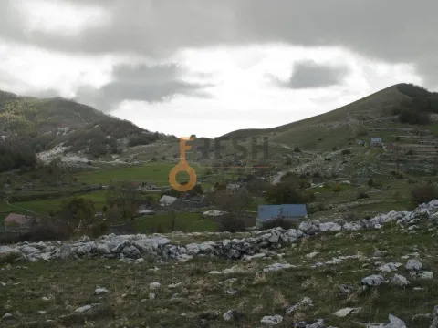 Prodaja, plac, 4307m², Cetinje, Crna Gora - image 7