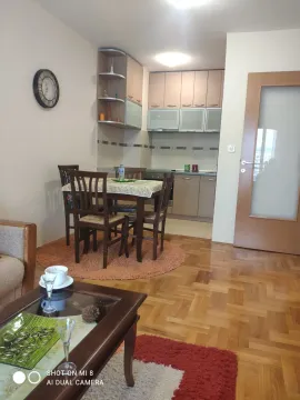 Izdavanje, dvosoban stan, 43m², Stari Aerodrom, Podgorica - image 3