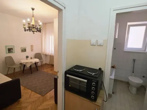 Izdavanje, stan, 20m², Savski Venac, Beograd - image 10