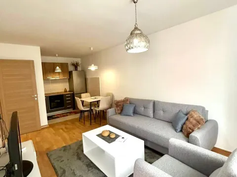 Rent, one bedroom apartment, 45m², Stari Aerodrom, Podgorica - image 5